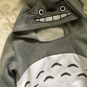 Totoro Anime Character Grey Hoodie Cute Kawaii